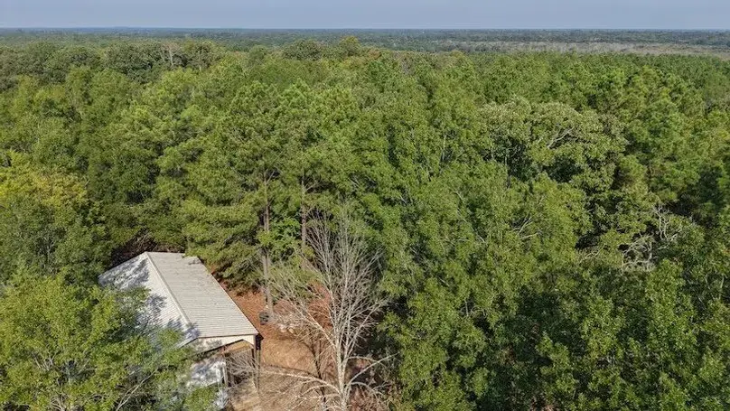 0000 Cr-3401, De Kalb, TX 75559 - #1