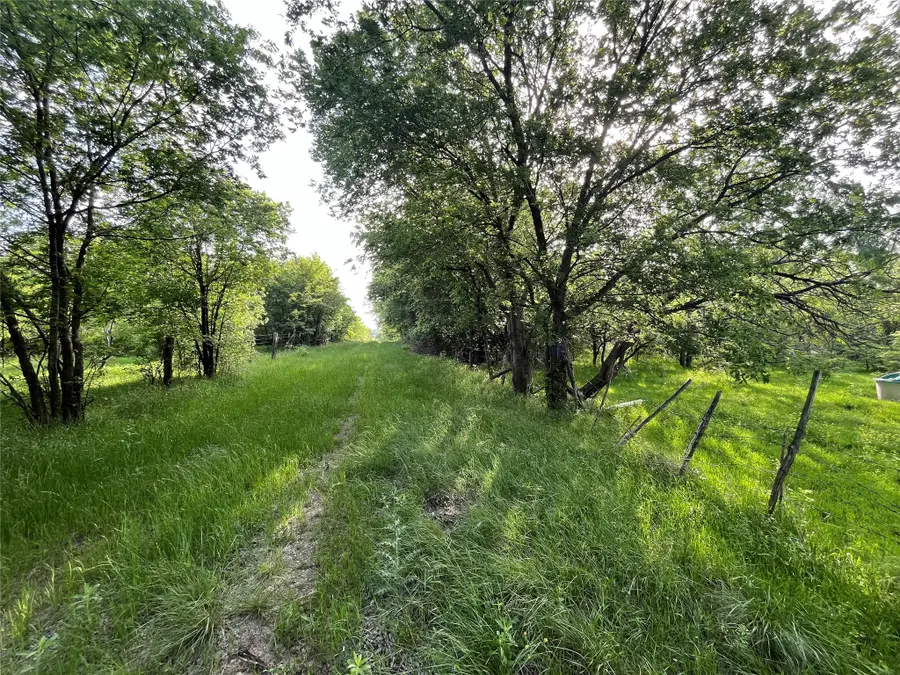 308.64 ACRES Lcr 208a, Coolidge, TX 76635 - #3