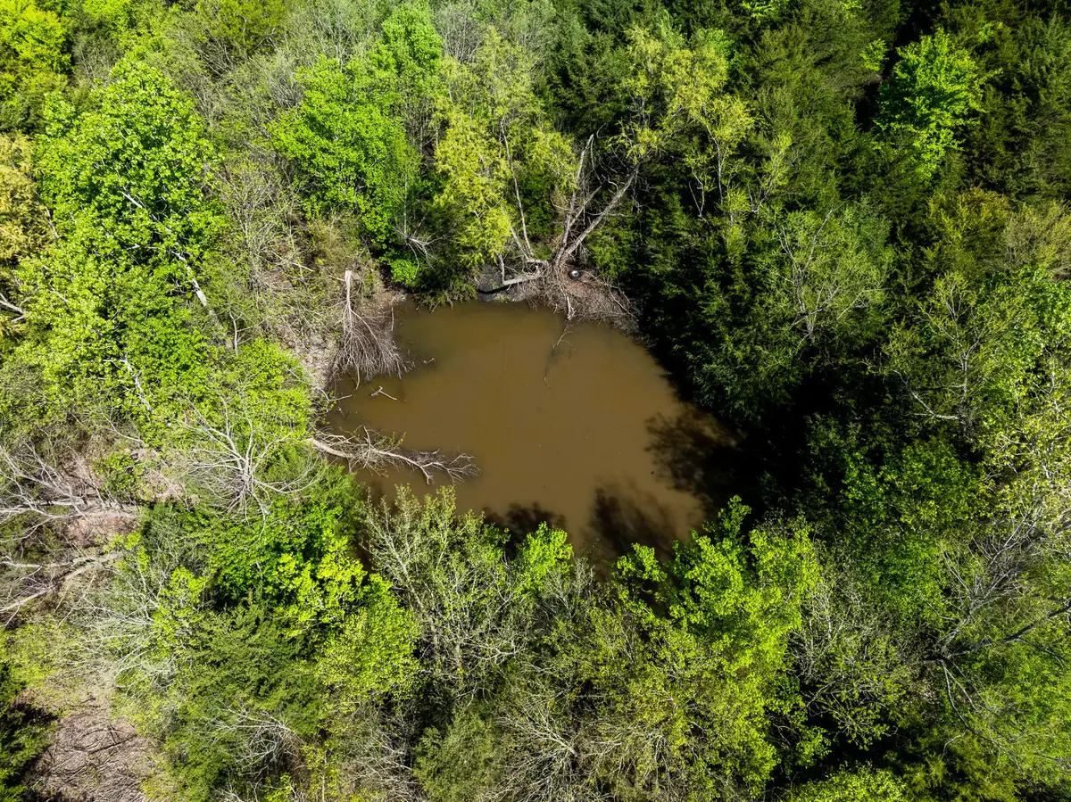 Hwy 34 Private Road 4521, Wolfe City, TX 75496 - #1