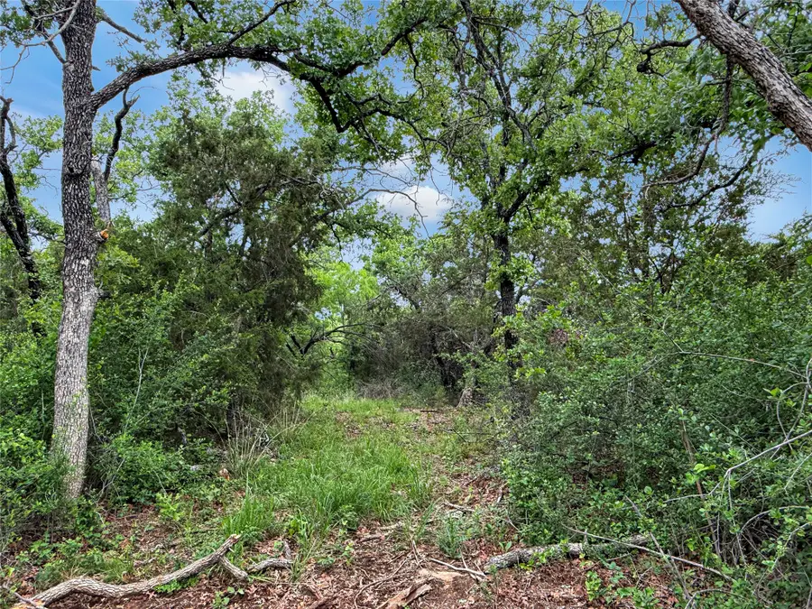 TBD Hoahway Drive, Mingus, TX 76463 - #2