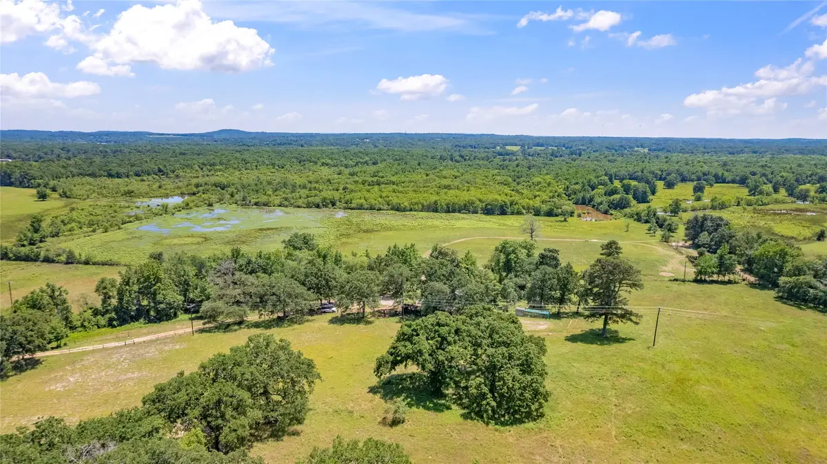 12250 County Road 3513, Brownsboro, TX 75756 - #1