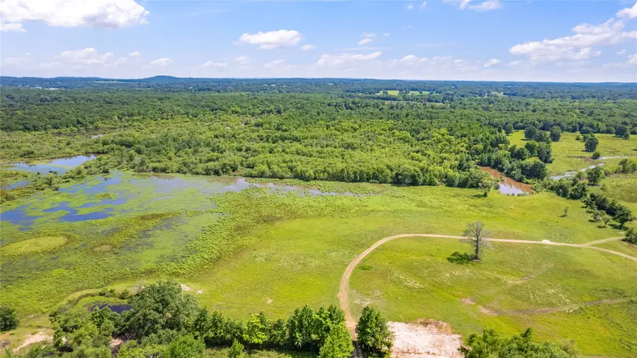 12250 County Road 3513, Brownsboro, TX 75756 - #2