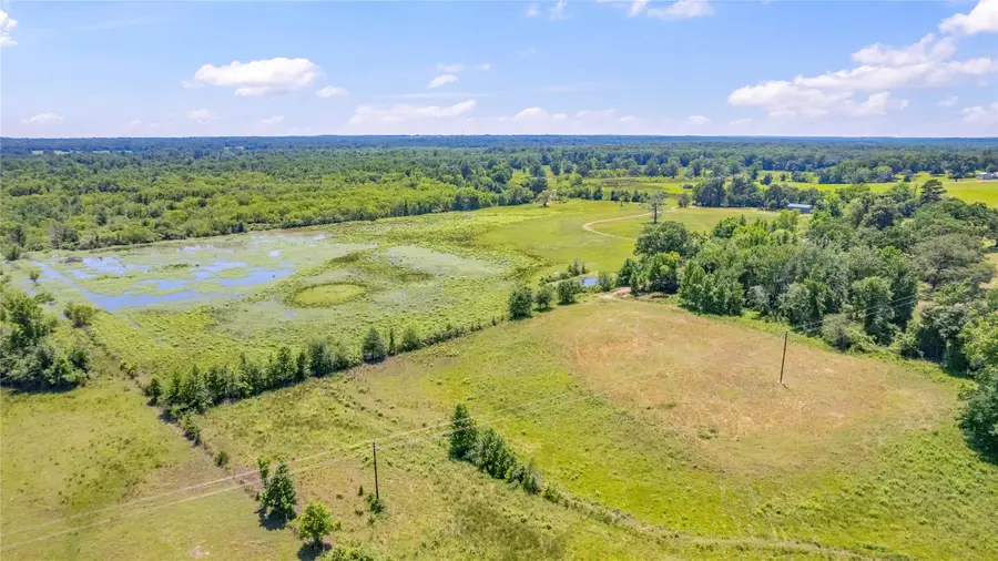 12250 County Road 3513, Brownsboro, TX 75756 - #3