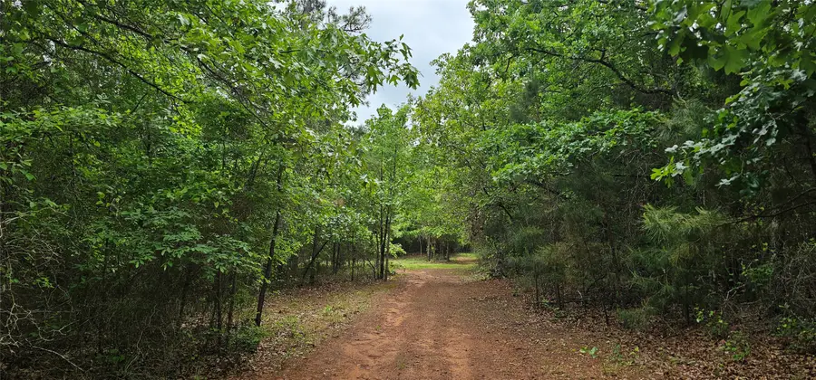 TBD Vz County Road 4814, Ben Wheeler, TX 75754 - #3