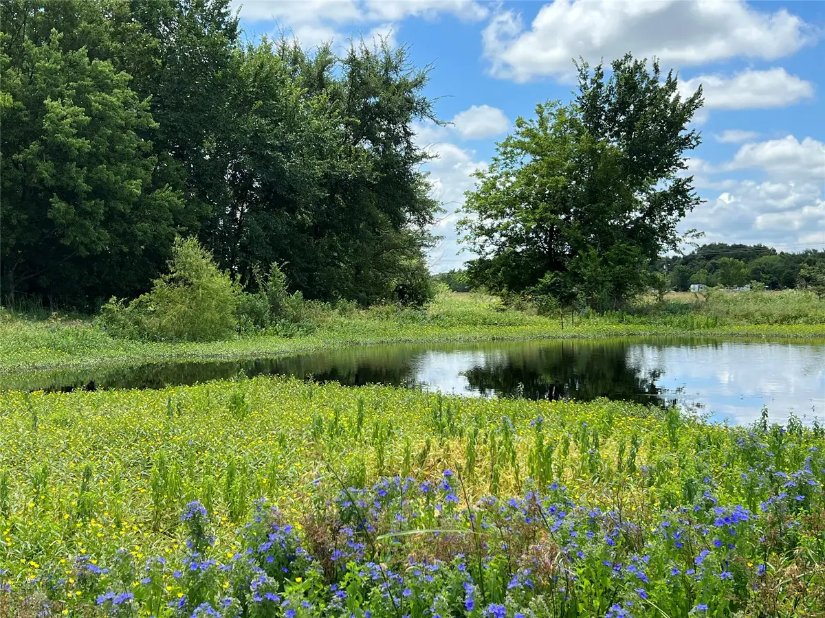 3950 Fm 47, Wills Point, TX 75169 - #1