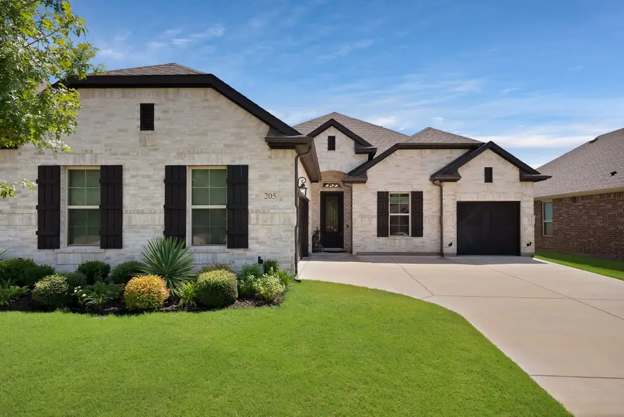 205 Northern Star Court, Little Elm, TX 75068 - #2