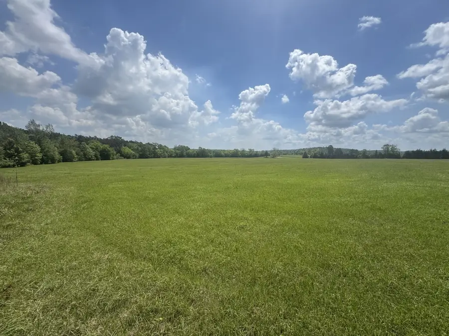 TBD-B Fm 2867, Henderson, TX 75654 - #2