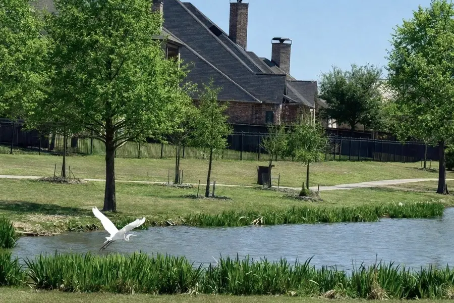 1306 Cypress Creek Way, Celina, TX 75009 - #2