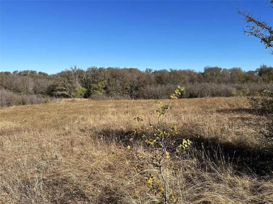 13 Bounds Road #13 Acres, Gunter, TX 75058 - #3