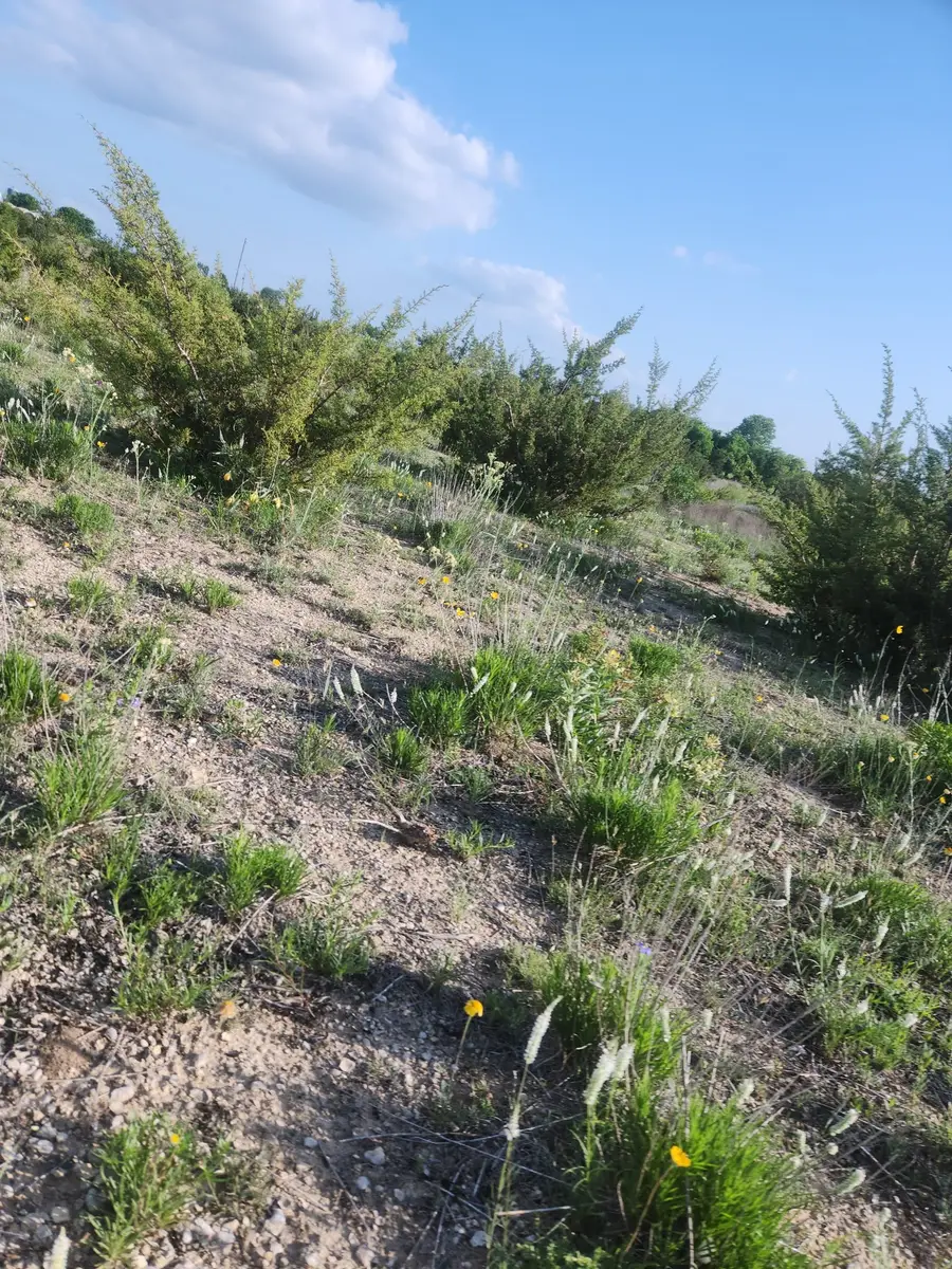 4465 County Road 185, Stephenville, TX 76401 - #2