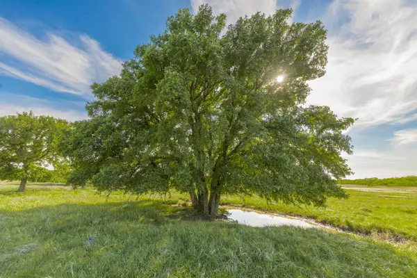 TBD C.r. 132, Coleman, TX 76834