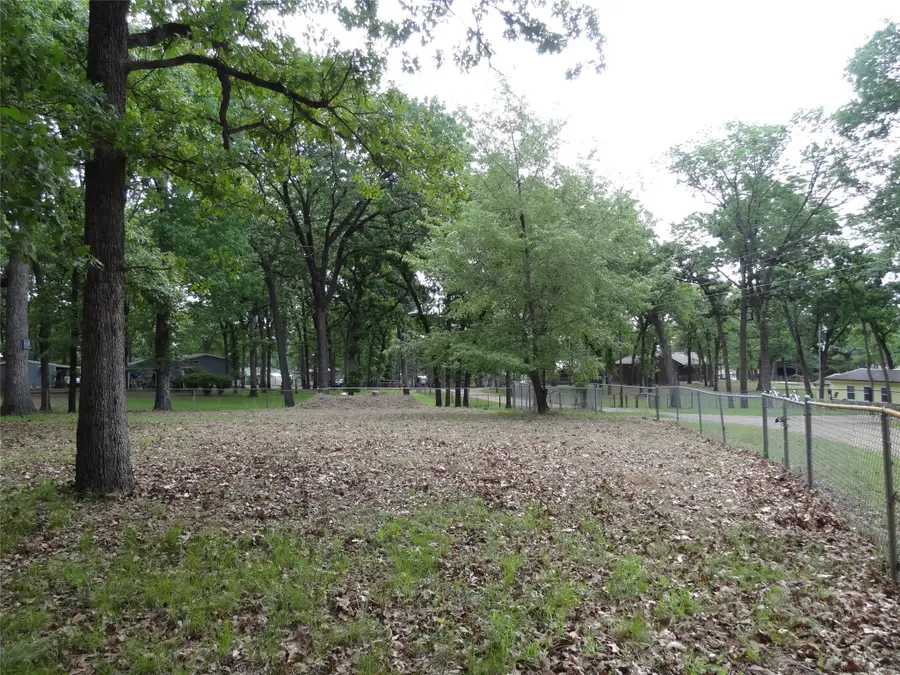 119 Oak Street, Mabank, TX 75156 - #3