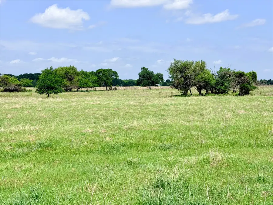 TBD 11 acres Fm 1183, Alma, TX 75119 - #3