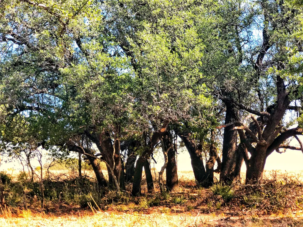 523 Ava Grace Lane, Dublin, TX 76446 - #1