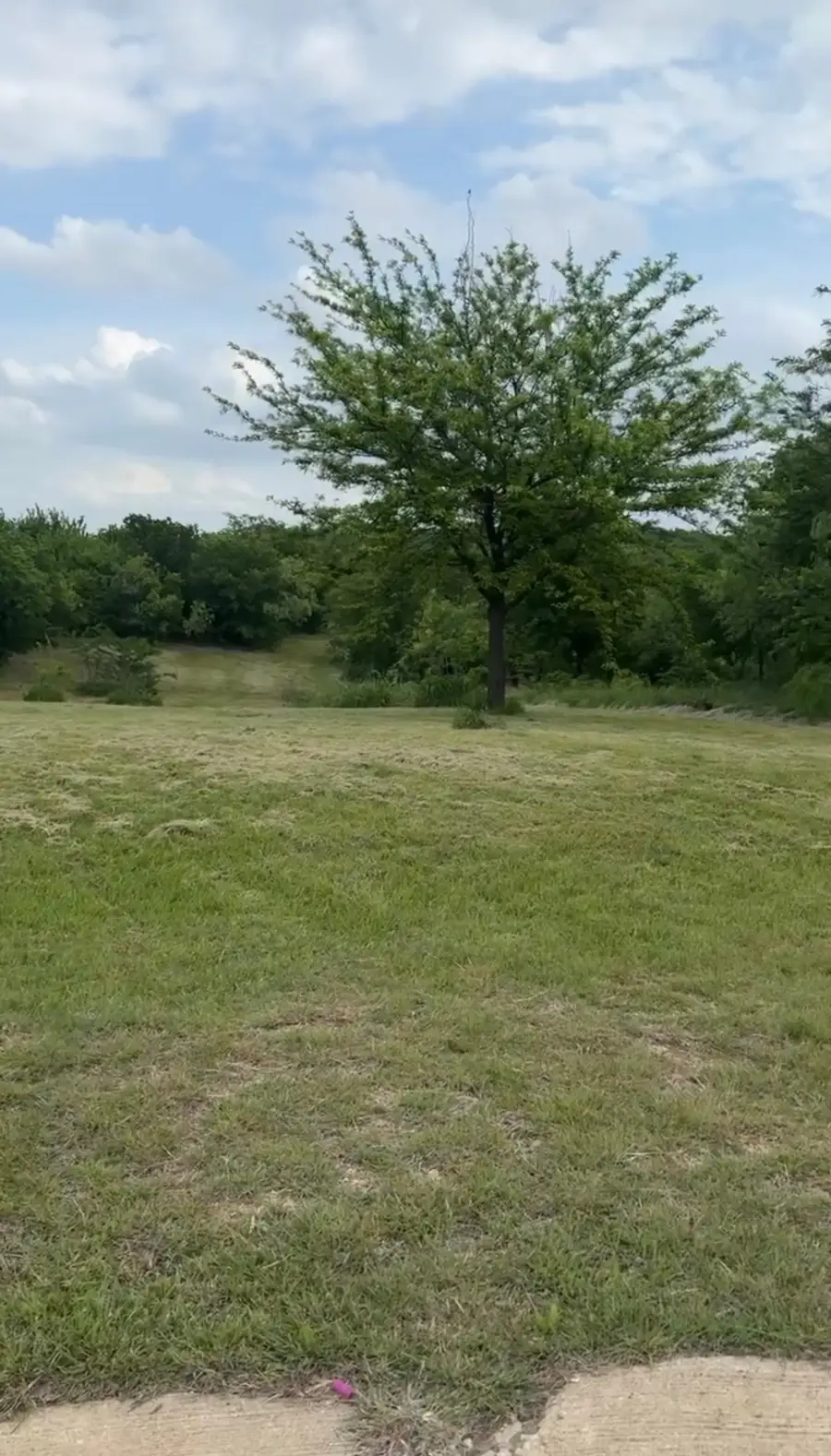 1207 Tulip Court, Grand Prairie, TX 75104 - #3