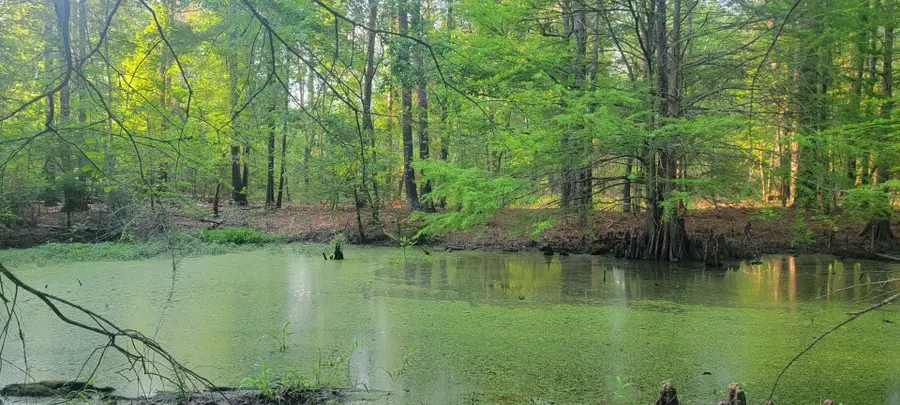 TBD County Road 430, Carthage, TX 75633 - #2