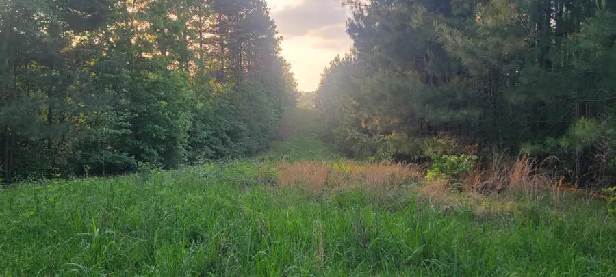 TBD County Road 430, Carthage, TX 75633 - #3