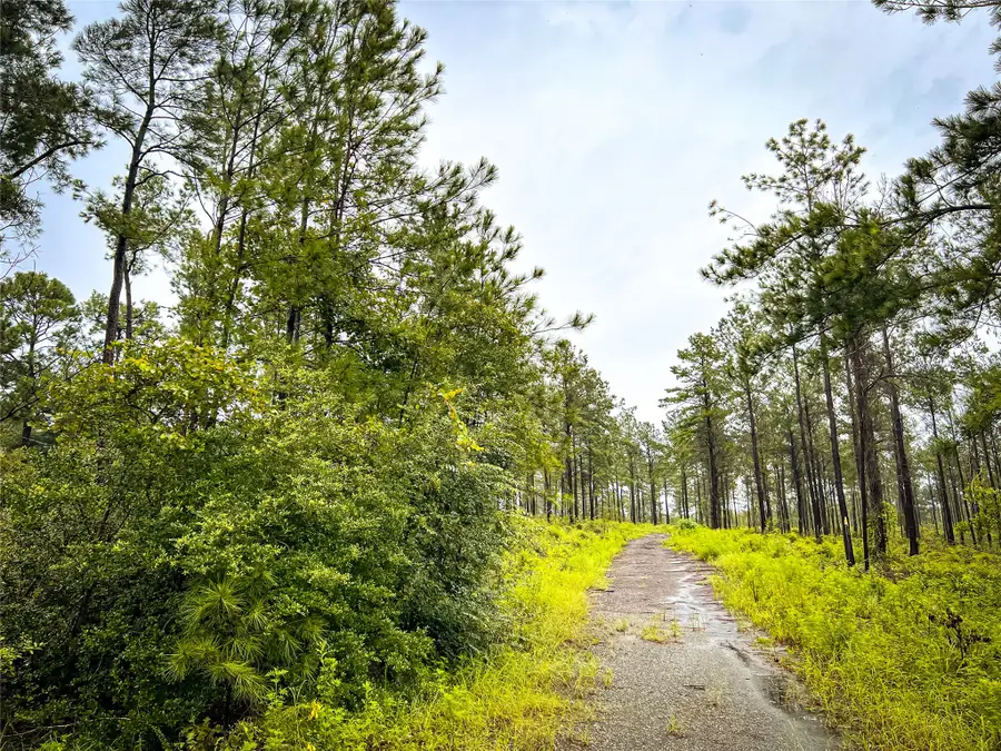 3 Cr 257, Jasper, TX 75951 - #2