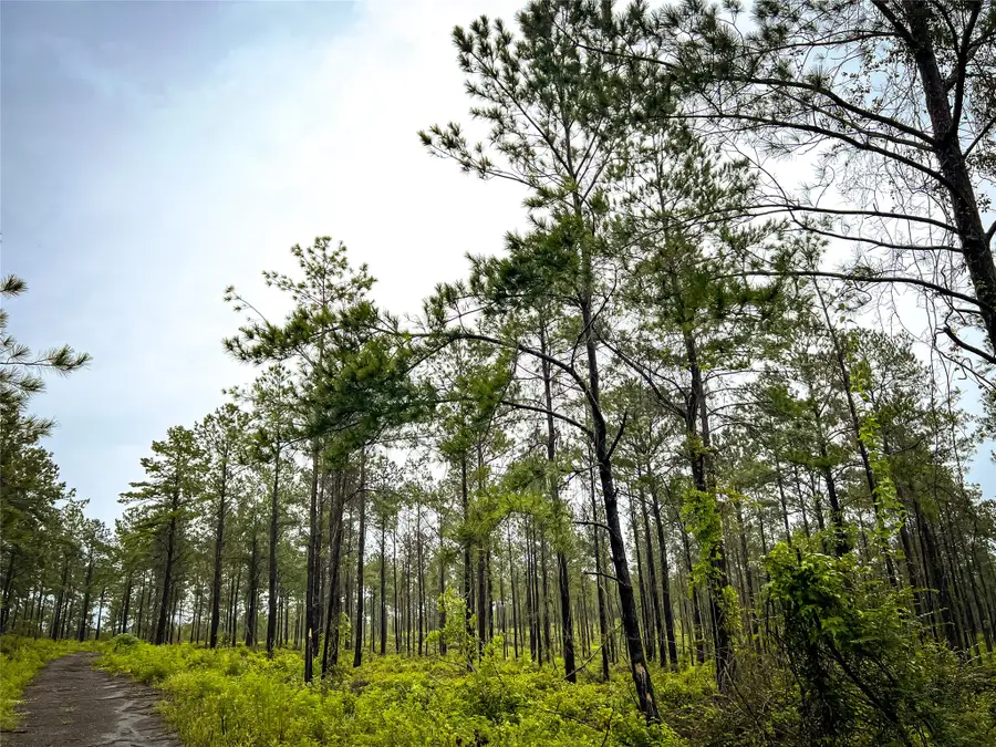 3 Cr 257, Jasper, TX 75951 - #3