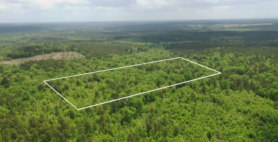 TBD Liberty Rd Tbd Liberty Rd, Jefferson, TX 75657 - #3