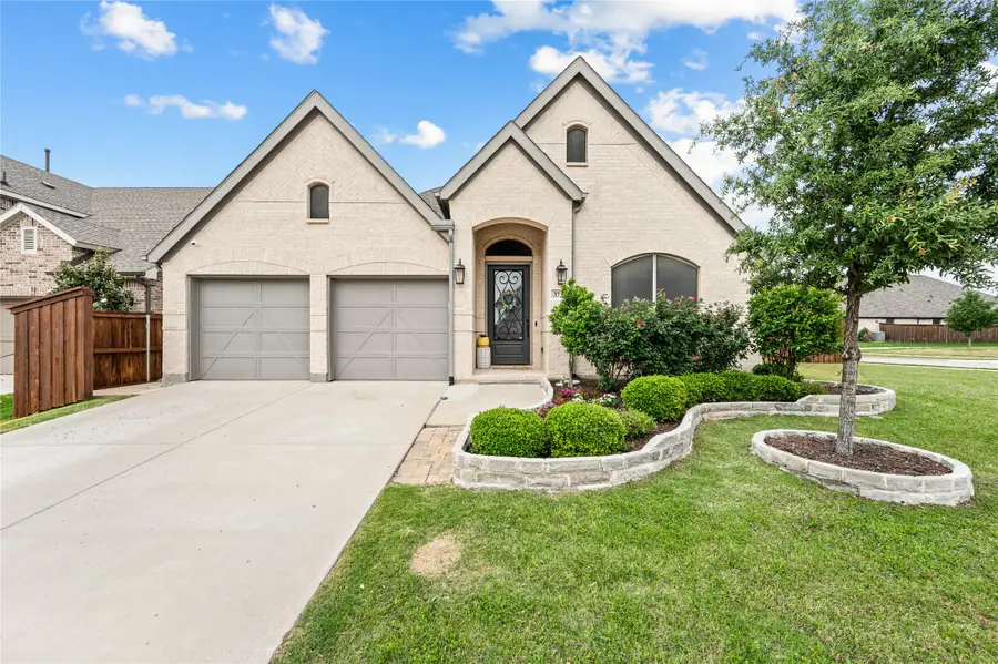 3732 Trail Creek Drive, Little Elm, TX 75068 - #2