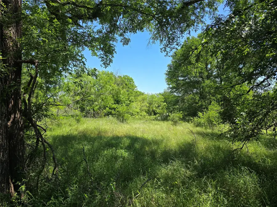 450 Cr 250, Gustine, TX 76455 - #3