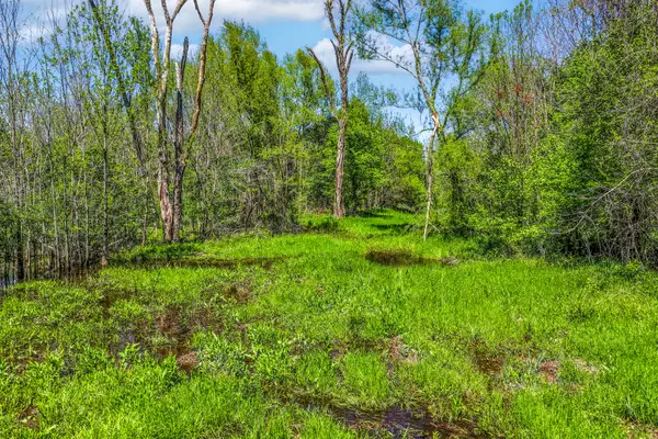 000 Fm 196, Deport, TX 75435