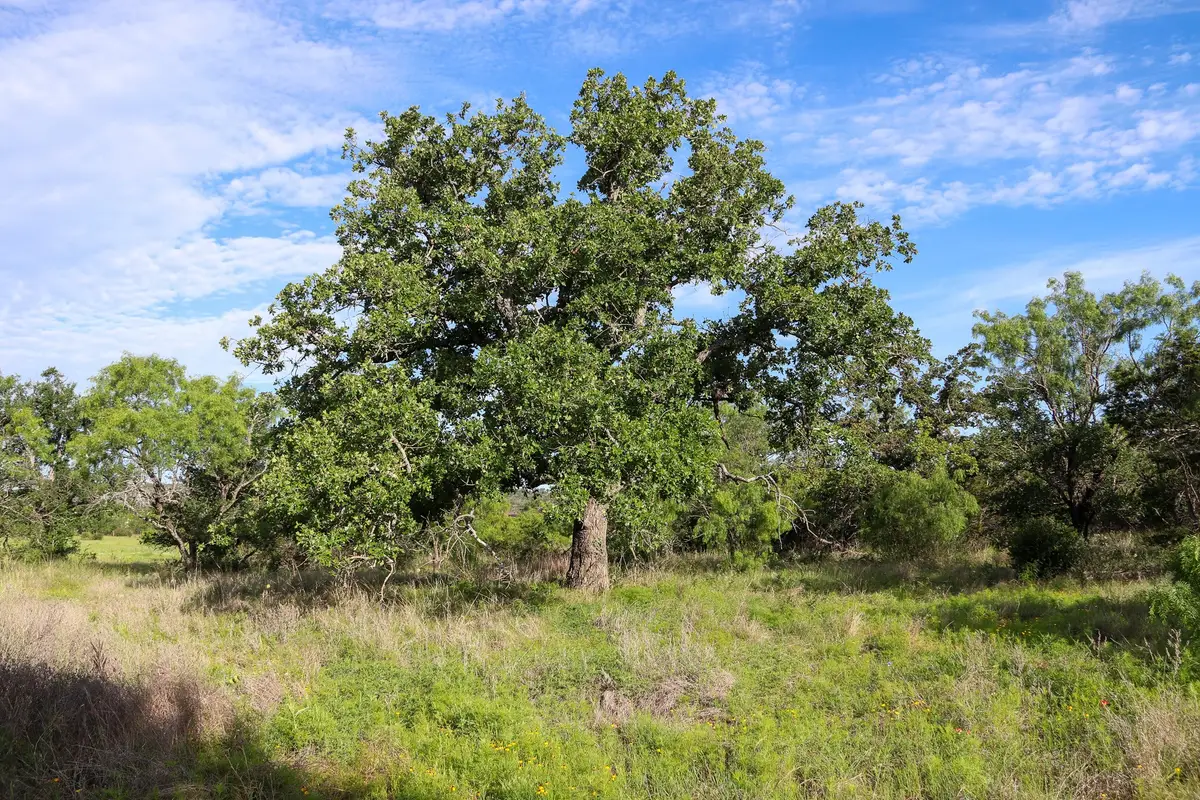 TBD Oak Ridge Tr, Kingsland, TX 78639 - #1