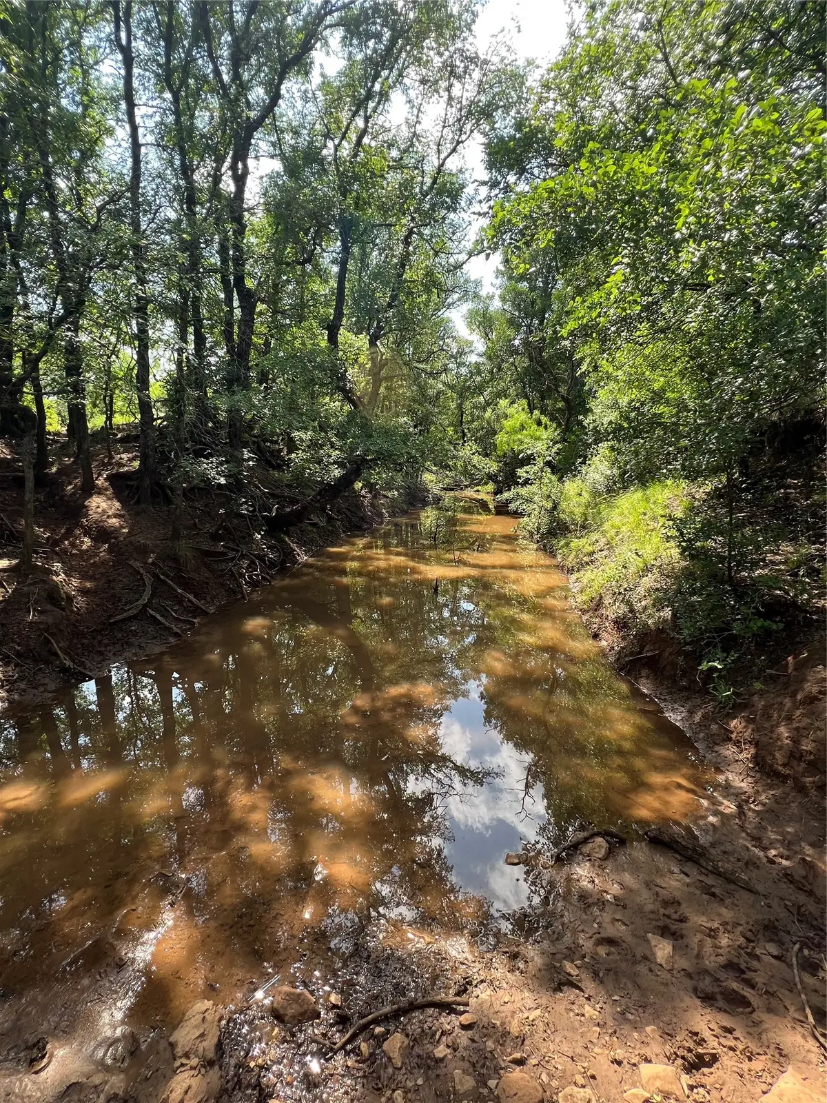 TBD County Road 137 Road, Cisco, TX 76437 - #1