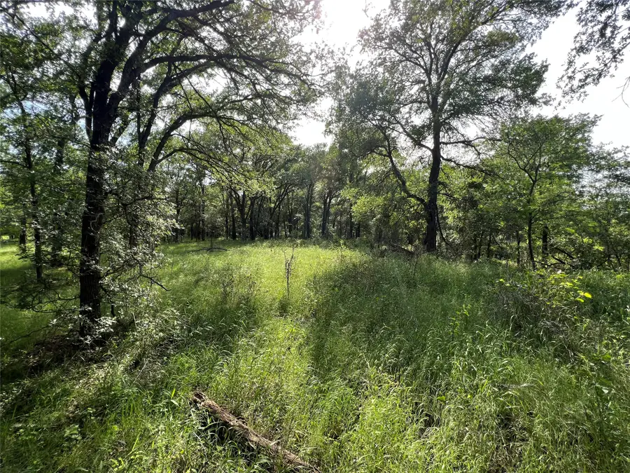 TBD County Road 137 Road, Cisco, TX 76437 - #3