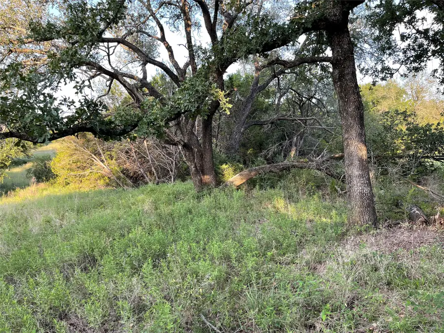 Lot 13 Cr 127, Carlton, TX 76436 - #3