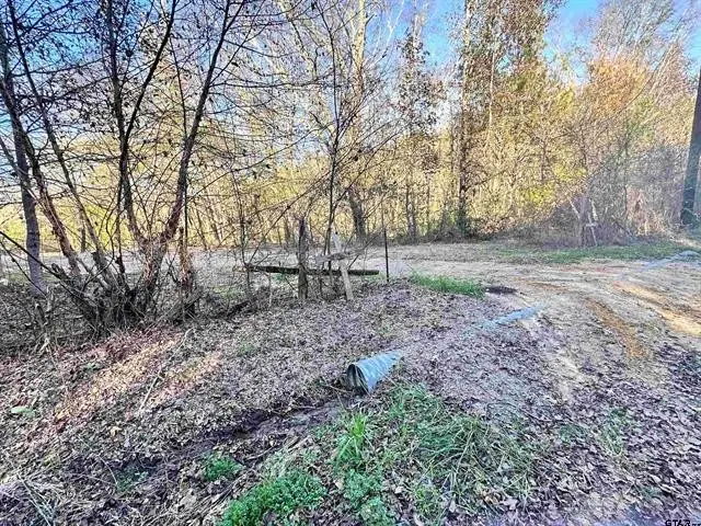 0 Cr 4302, Larue, TX 75770 - #3