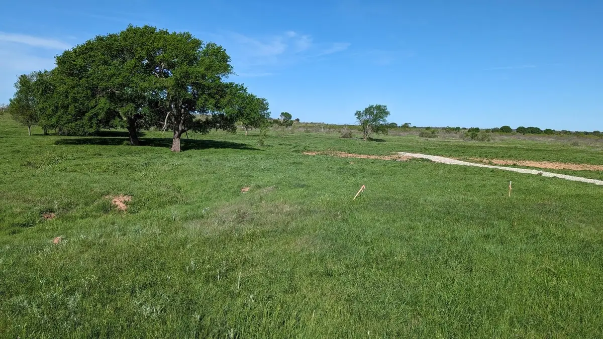 Lot 30 High Plains Trail, Bellevue, TX 76228 - #1