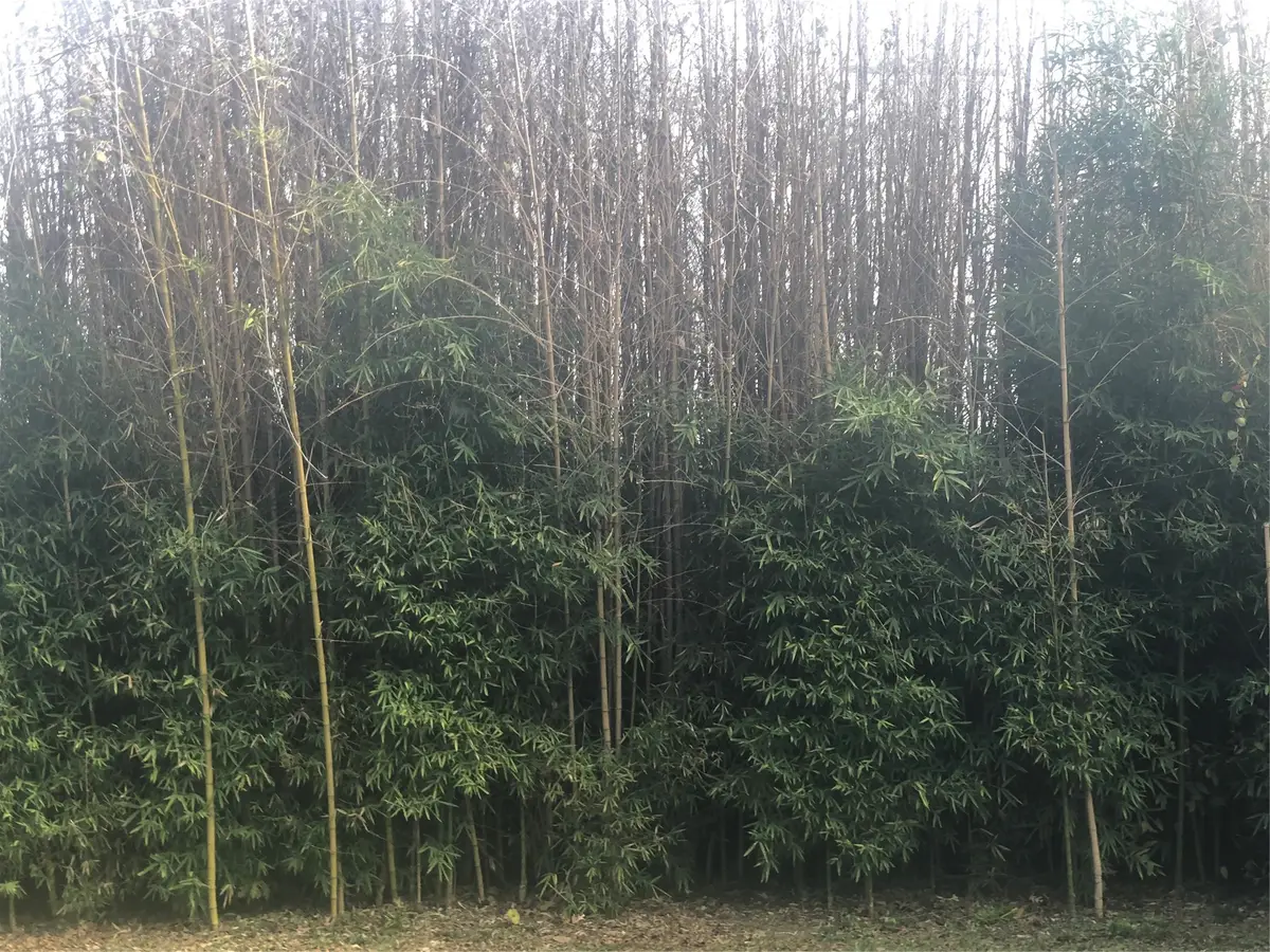 2506 North Bay Street, Horseshoe Bay, TX 78657 - #1