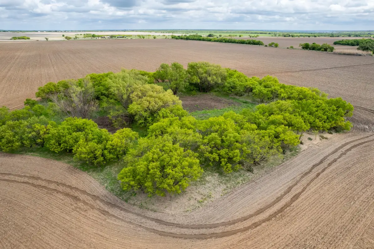 TBD County Road 159, Coleman, TX 76834 - #1