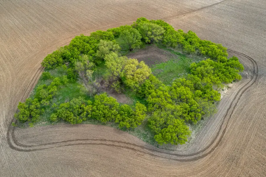 TBD County Road 159, Coleman, TX 76834 - #2