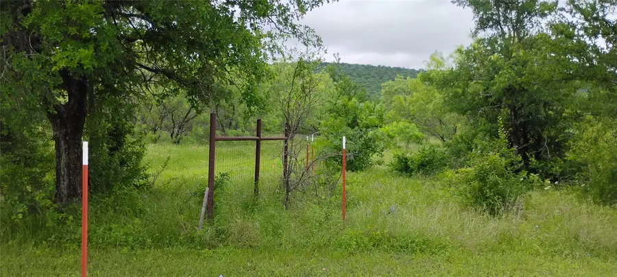 TBD Dunn Drive, Palo Pinto, TX 76484 - #3