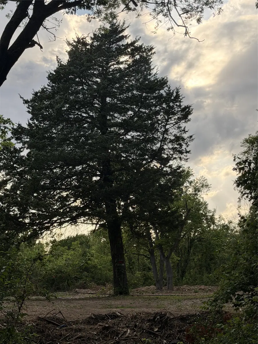 118 Jim Street, Waxahachie, TX 75165 - #2