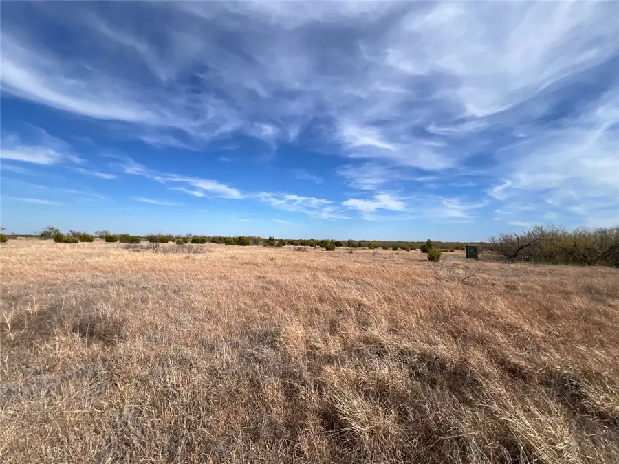 TBD Mathews Sur 52, Santa Anna, TX 76878 - #2