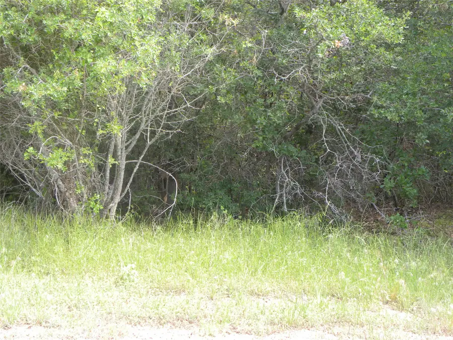 1303 Ash Court, Whitney, TX 76692 - #2