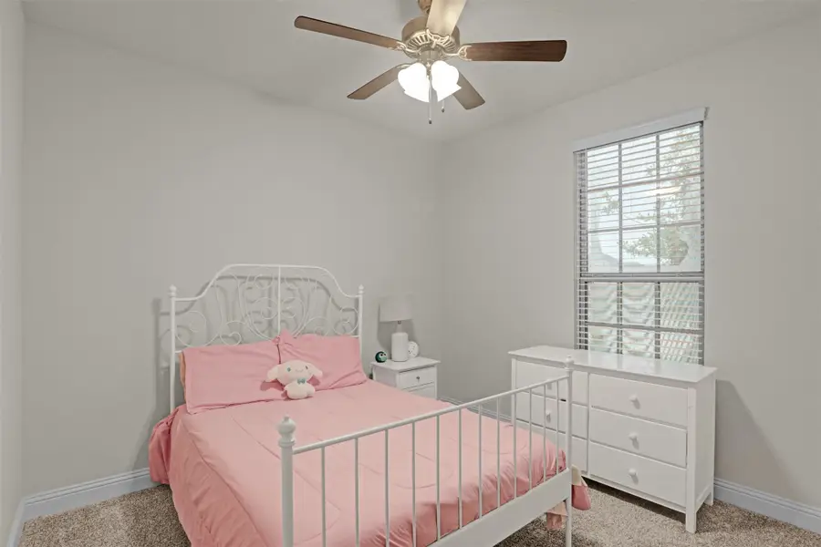 11245 Canyon Mine Drive, Aubrey, TX 76227 - #3