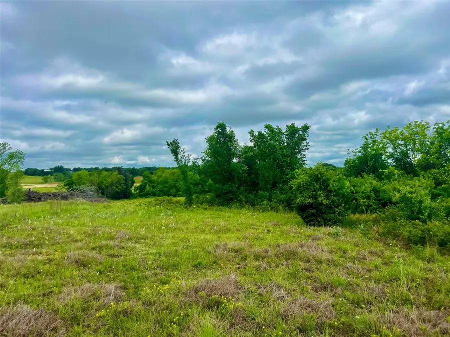 Lot 8 Clare Rd, Poolville, TX 76487 - #3