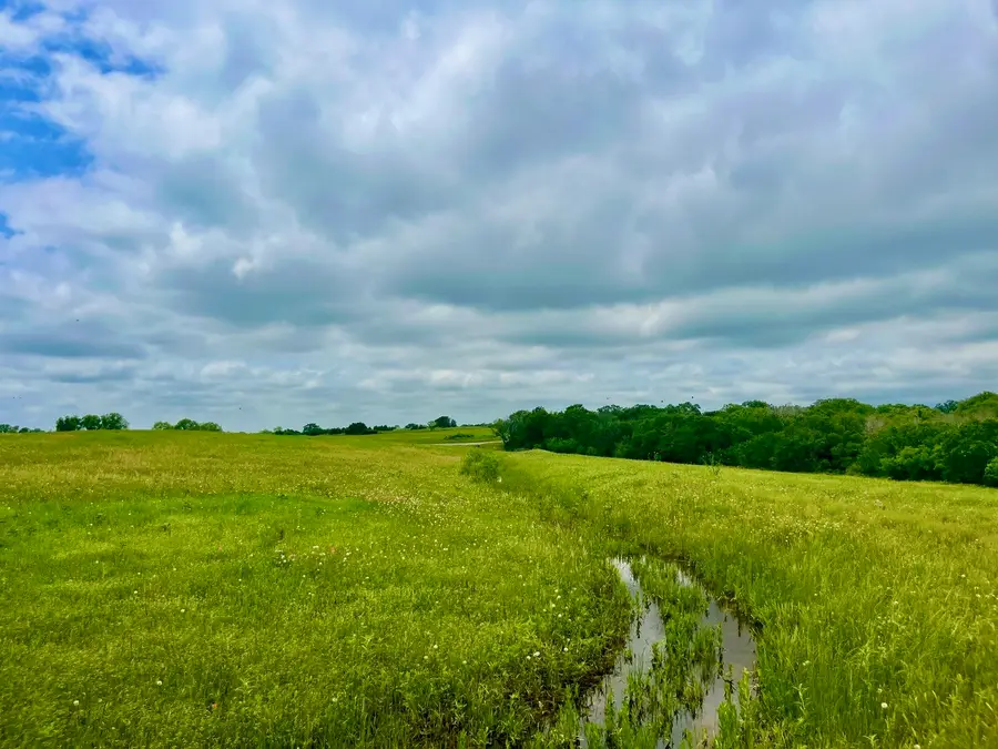 Lot 11 Clare Rd, Poolville, TX 76487 - #2