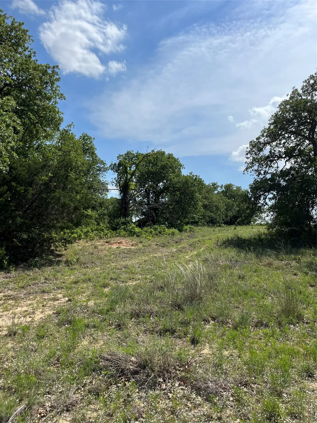 Lot 12 Clare Road, Poolville, TX 76487 - #1