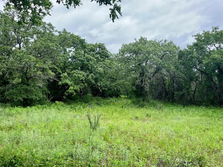 Lot 18 Kilkenny, Poolville, TX 76487 - #3
