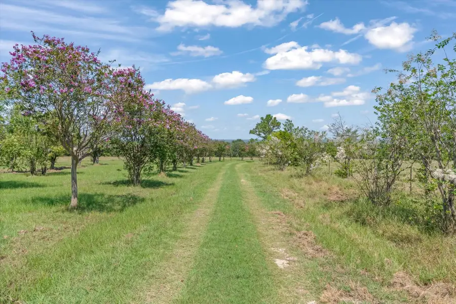 2503 Vz County Road 3804, Wills Point, TX 75169 - #2