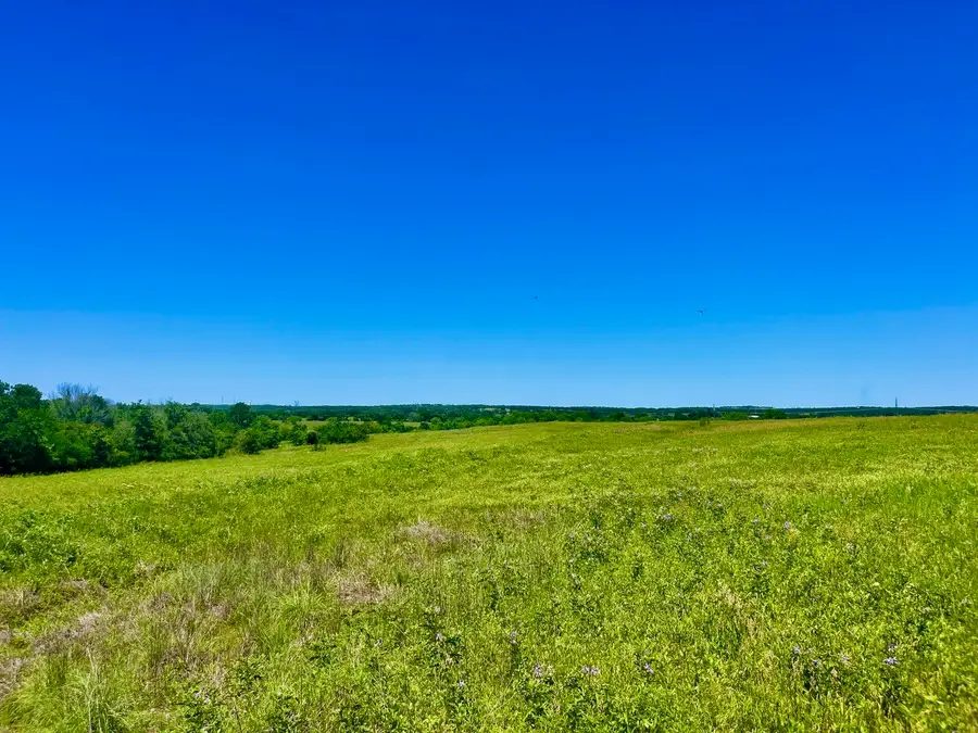 Lot 19 Kilkenny Rd, Poolville, TX 76487 - #3