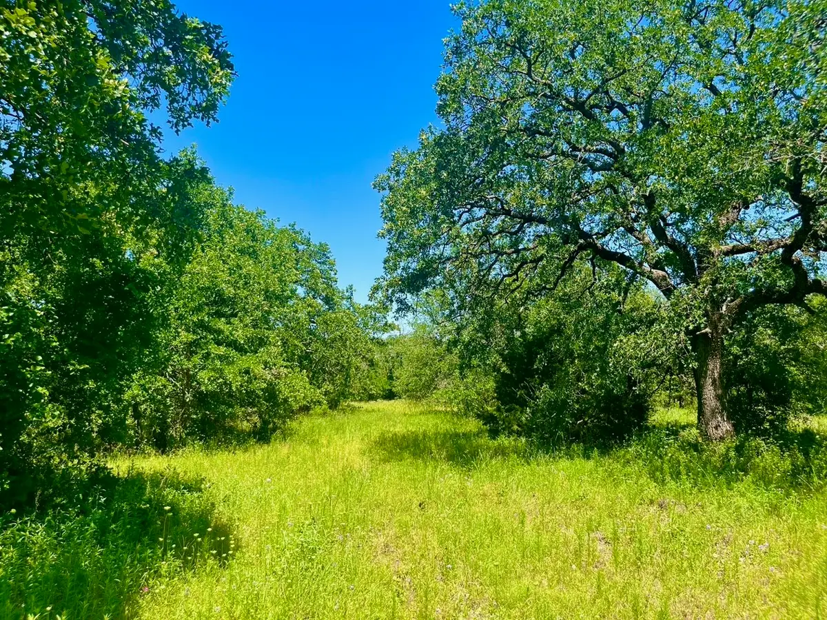 Lot 32 Galway Rd, Poolville, TX 76487 - #1