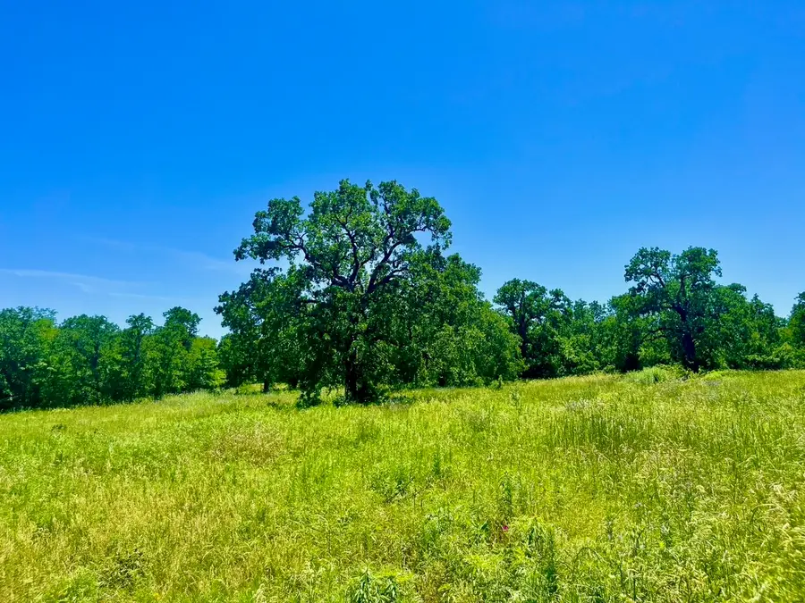 Lot 32 Galway Rd, Poolville, TX 76487 - #2