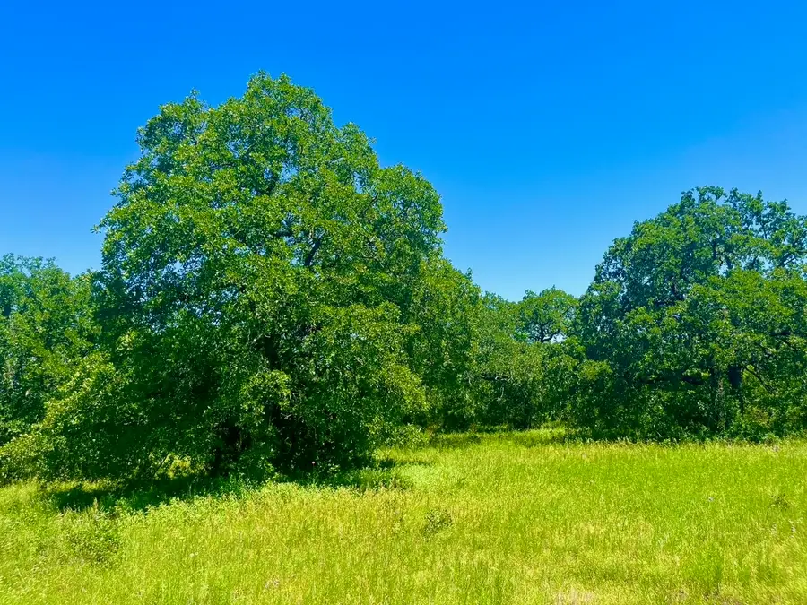 Lot 32 Galway Rd, Poolville, TX 76487 - #3